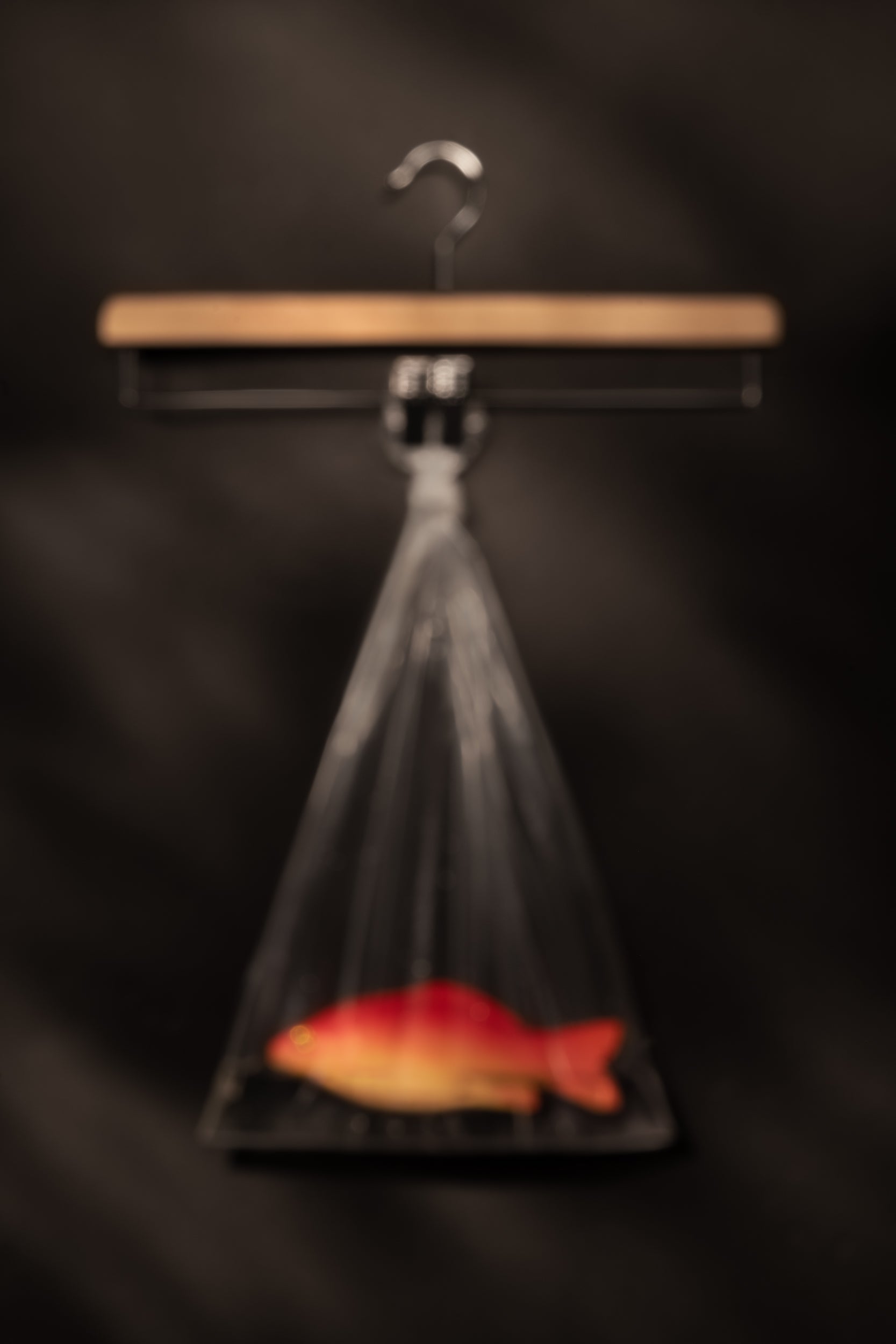 Hang- A Goldfish