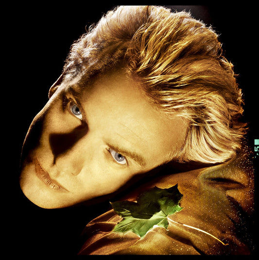 Occupation Dreamer - Sting