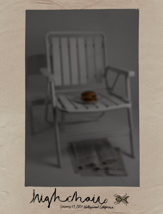 HighChairs Poster- Hamburger