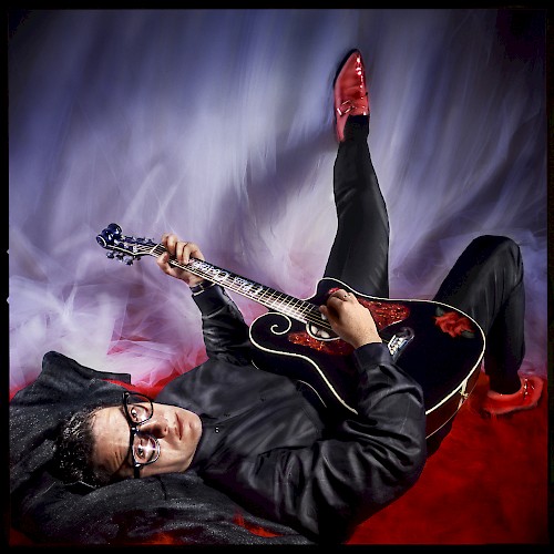 Occupation Dreamer - Elvis Costello