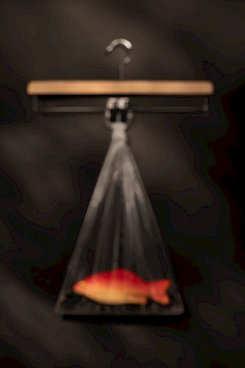 Hang- A Goldfish